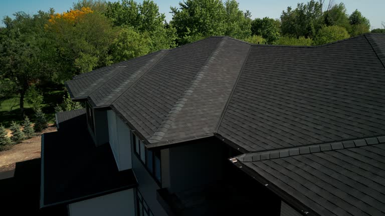 Best Roof Ventilation Installation  in Obion, TN